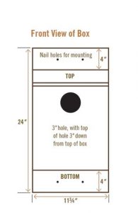 Homemade Birdhouse Illustration